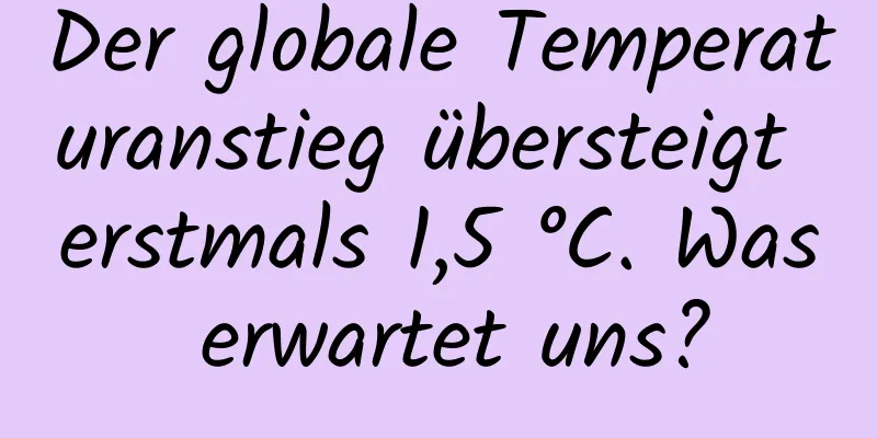 Der globale Temperaturanstieg übersteigt erstmals 1,5 °C. Was erwartet uns?