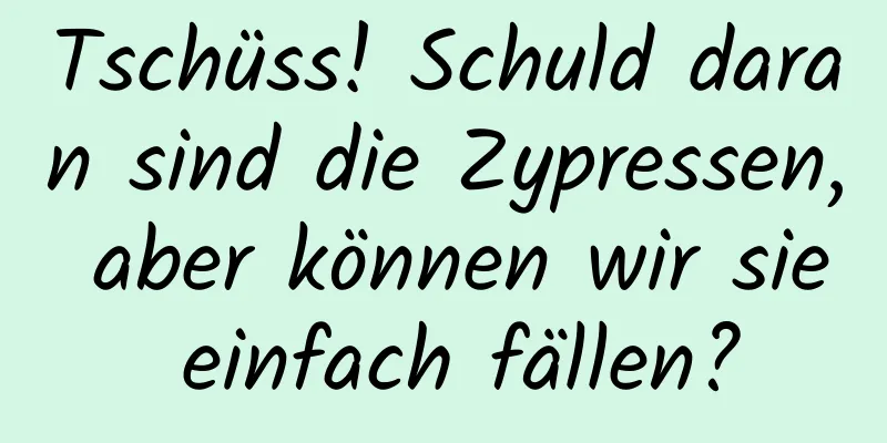 Tschüss! Schuld daran sind die Zypressen, aber können wir sie einfach fällen?