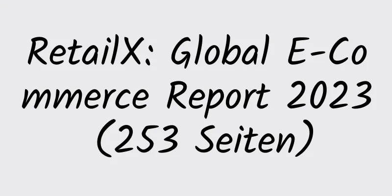 RetailX: Global E-Commerce Report 2023 (253 Seiten)