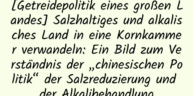 [Getreidepolitik eines großen Landes] Salzhaltiges und alkalisches Land in eine Kornkammer verwandeln: Ein Bild zum Verständnis der „chinesischen Politik“ der Salzreduzierung und der Alkalibehandlung