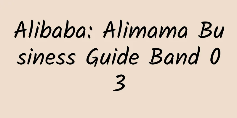 Alibaba: Alimama Business Guide Band 03
