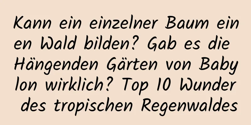 Kann ein einzelner Baum einen Wald bilden? Gab es die Hängenden Gärten von Babylon wirklich? Top 10 Wunder des tropischen Regenwaldes