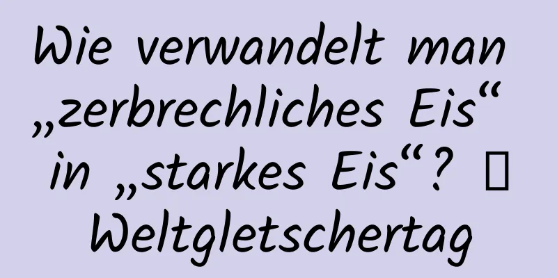 Wie verwandelt man „zerbrechliches Eis“ in „starkes Eis“? ｜Weltgletschertag