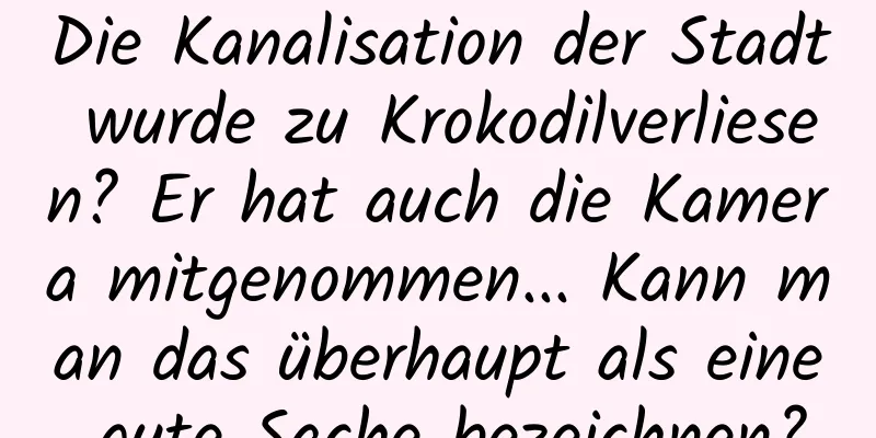 Die Kanalisation der Stadt wurde zu Krokodilverliesen? Er hat auch die Kamera mitgenommen... Kann man das überhaupt als eine gute Sache bezeichnen?