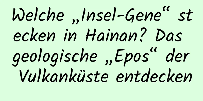 Welche „Insel-Gene“ stecken in Hainan? Das geologische „Epos“ der Vulkanküste entdecken