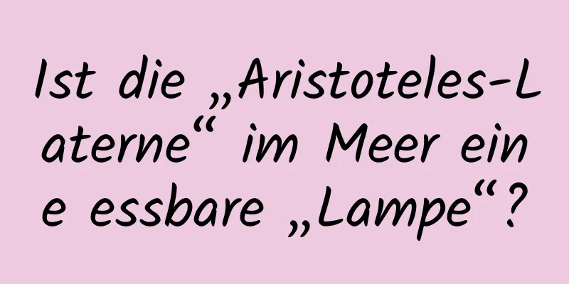 Ist die „Aristoteles-Laterne“ im Meer eine essbare „Lampe“?