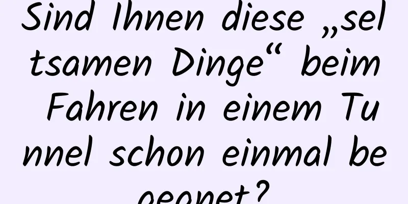 Sind Ihnen diese „seltsamen Dinge“ beim Fahren in einem Tunnel schon einmal begegnet?