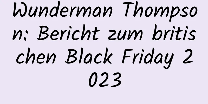 Wunderman Thompson: Bericht zum britischen Black Friday 2023
