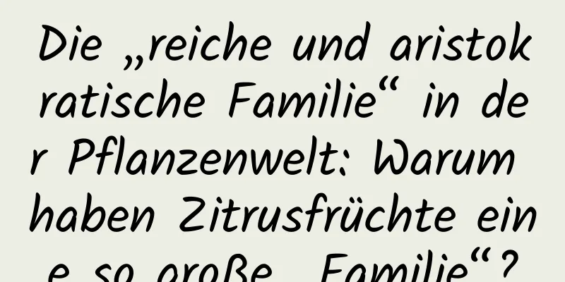 Die „reiche und aristokratische Familie“ in der Pflanzenwelt: Warum haben Zitrusfrüchte eine so große „Familie“?