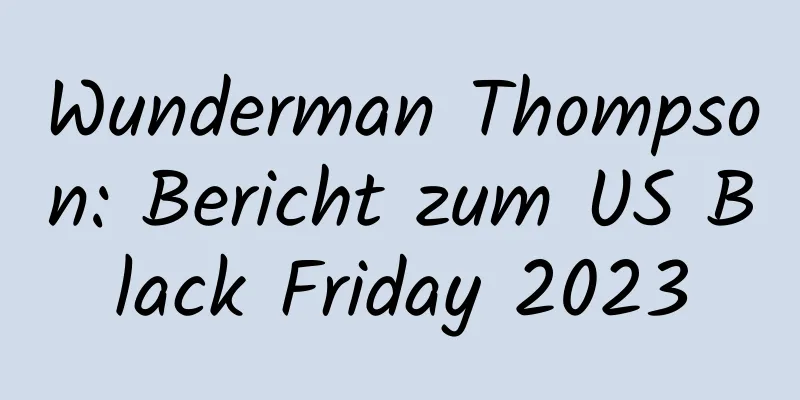Wunderman Thompson: Bericht zum US Black Friday 2023