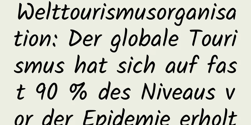 Welttourismusorganisation: Der globale Tourismus hat sich auf fast 90 % des Niveaus vor der Epidemie erholt