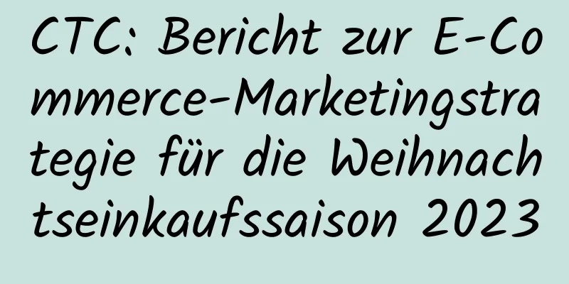CTC: Bericht zur E-Commerce-Marketingstrategie für die Weihnachtseinkaufssaison 2023