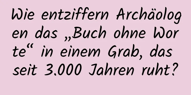 Wie entziffern Archäologen das „Buch ohne Worte“ in einem Grab, das seit 3.000 Jahren ruht?
