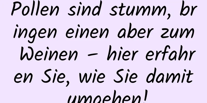 Pollen sind stumm, bringen einen aber zum Weinen – hier erfahren Sie, wie Sie damit umgehen!