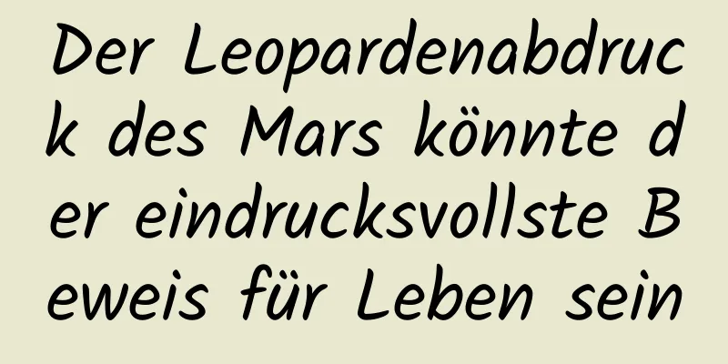 Der Leopardenabdruck des Mars könnte der eindrucksvollste Beweis für Leben sein