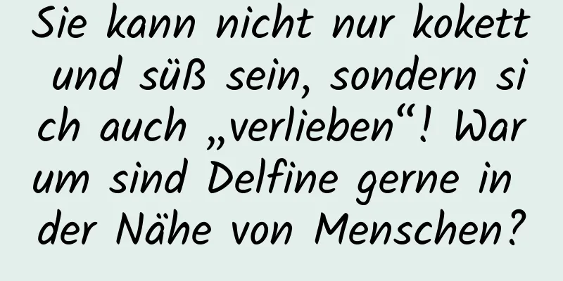 Sie kann nicht nur kokett und süß sein, sondern sich auch „verlieben“! Warum sind Delfine gerne in der Nähe von Menschen?