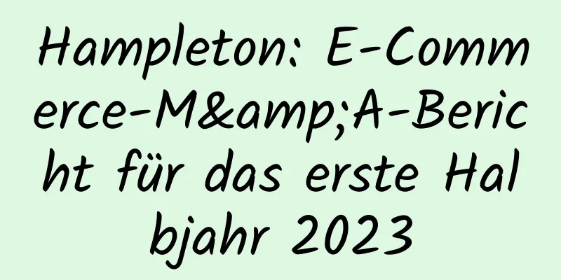 Hampleton: E-Commerce-M&A-Bericht für das erste Halbjahr 2023