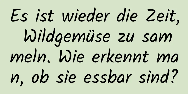 Es ist wieder die Zeit, Wildgemüse zu sammeln. Wie erkennt man, ob sie essbar sind?