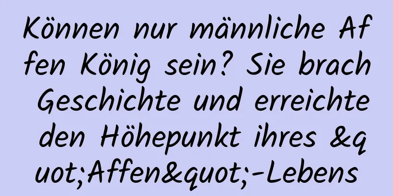 Können nur männliche Affen König sein? Sie brach Geschichte und erreichte den Höhepunkt ihres "Affen"-Lebens