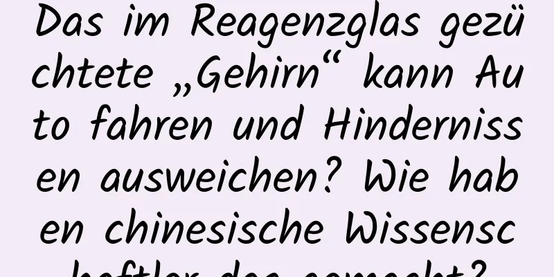 Das im Reagenzglas gezüchtete „Gehirn“ kann Auto fahren und Hindernissen ausweichen? Wie haben chinesische Wissenschaftler das gemacht?