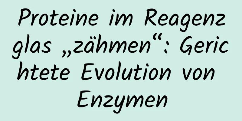 Proteine ​​im Reagenzglas „zähmen“: Gerichtete Evolution von Enzymen