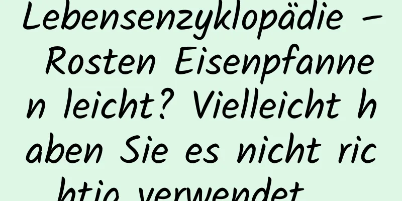 Lebensenzyklopädie – Rosten Eisenpfannen leicht? Vielleicht haben Sie es nicht richtig verwendet ...