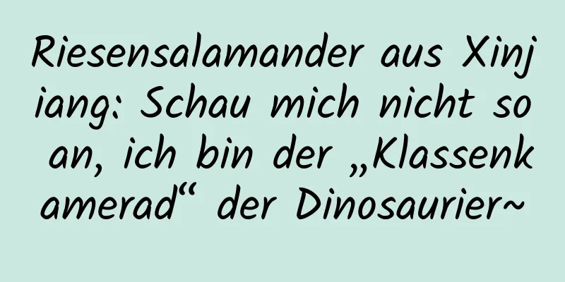 Riesensalamander aus Xinjiang: Schau mich nicht so an, ich bin der „Klassenkamerad“ der Dinosaurier~