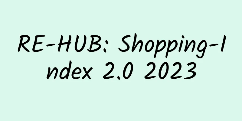 RE-HUB: Shopping-Index 2.0 2023