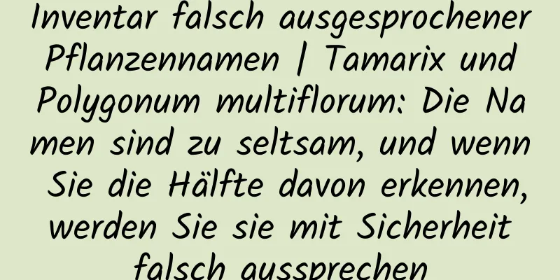 Inventar falsch ausgesprochener Pflanzennamen | Tamarix und Polygonum multiflorum: Die Namen sind zu seltsam, und wenn Sie die Hälfte davon erkennen, werden Sie sie mit Sicherheit falsch aussprechen