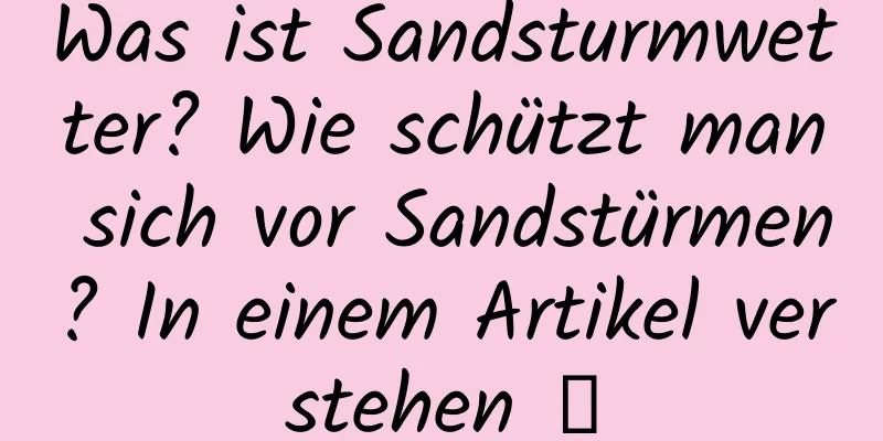 Was ist Sandsturmwetter? Wie schützt man sich vor Sandstürmen? In einem Artikel verstehen →