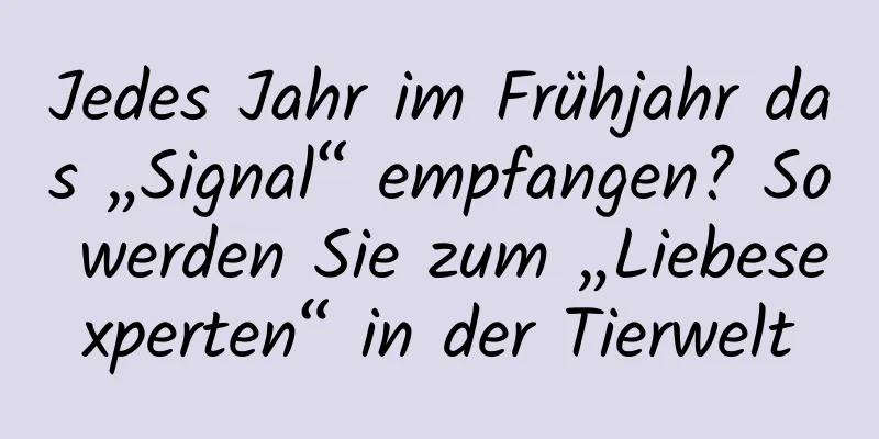 Jedes Jahr im Frühjahr das „Signal“ empfangen? So werden Sie zum „Liebesexperten“ in der Tierwelt