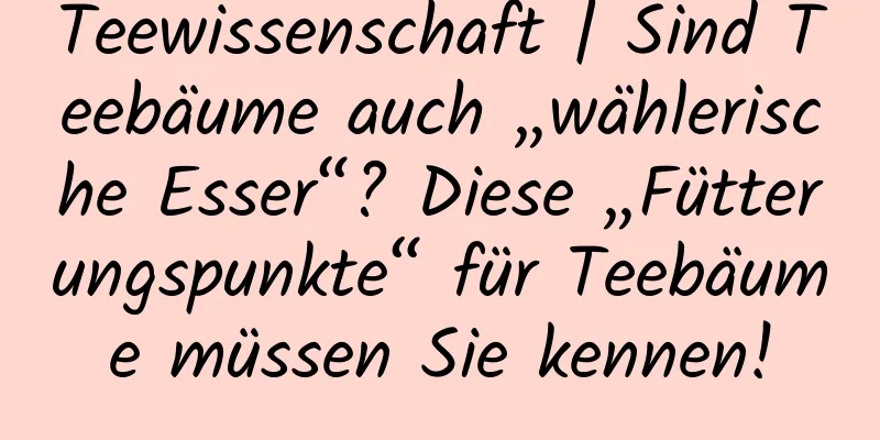 Teewissenschaft | Sind Teebäume auch „wählerische Esser“? Diese „Fütterungspunkte“ für Teebäume müssen Sie kennen!