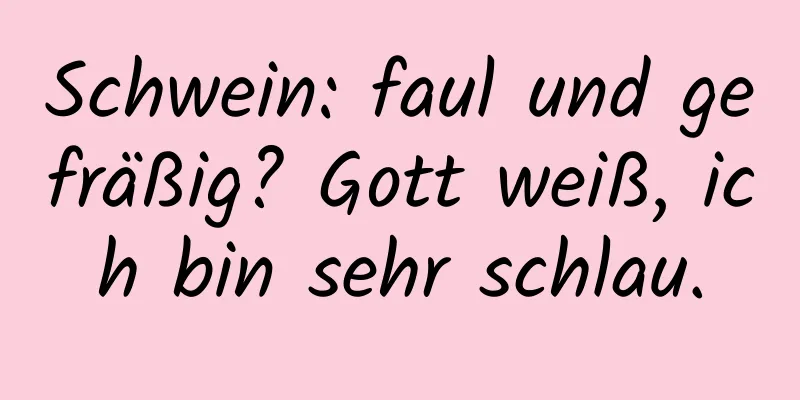 Schwein: faul und gefräßig? Gott weiß, ich bin sehr schlau.