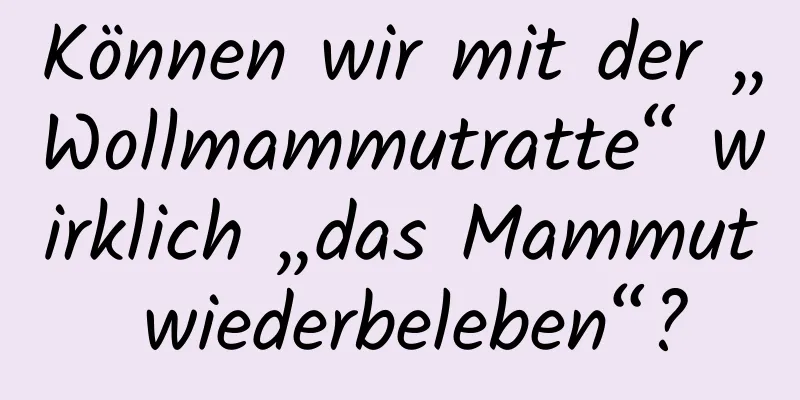 Können wir mit der „Wollmammutratte“ wirklich „das Mammut wiederbeleben“?