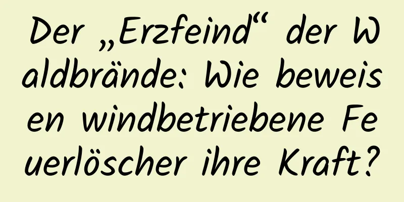 Der „Erzfeind“ der Waldbrände: Wie beweisen windbetriebene Feuerlöscher ihre Kraft?