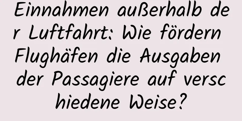 Einnahmen außerhalb der Luftfahrt: Wie fördern Flughäfen die Ausgaben der Passagiere auf verschiedene Weise?