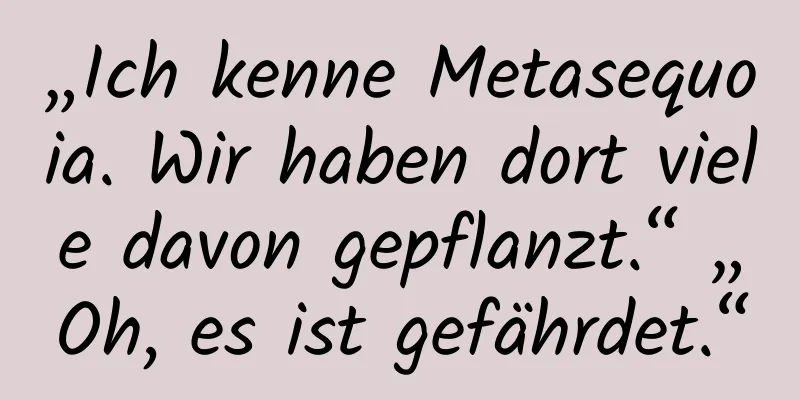 „Ich kenne Metasequoia. Wir haben dort viele davon gepflanzt.“ „Oh, es ist gefährdet.“