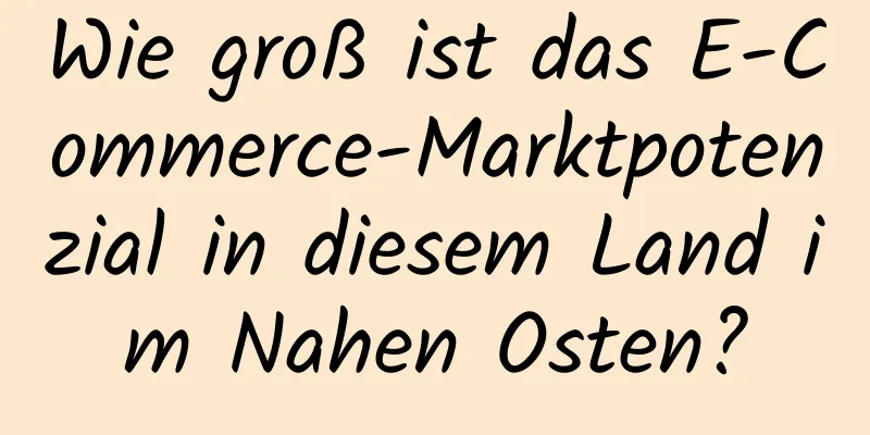 Wie groß ist das E-Commerce-Marktpotenzial in diesem Land im Nahen Osten?