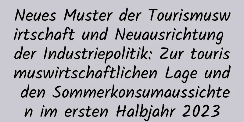 Neues Muster der Tourismuswirtschaft und Neuausrichtung der Industriepolitik: Zur tourismuswirtschaftlichen Lage und den Sommerkonsumaussichten im ersten Halbjahr 2023