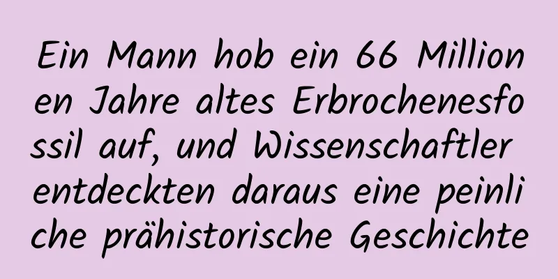 Ein Mann hob ein 66 Millionen Jahre altes Erbrochenesfossil auf, und Wissenschaftler entdeckten daraus eine peinliche prähistorische Geschichte