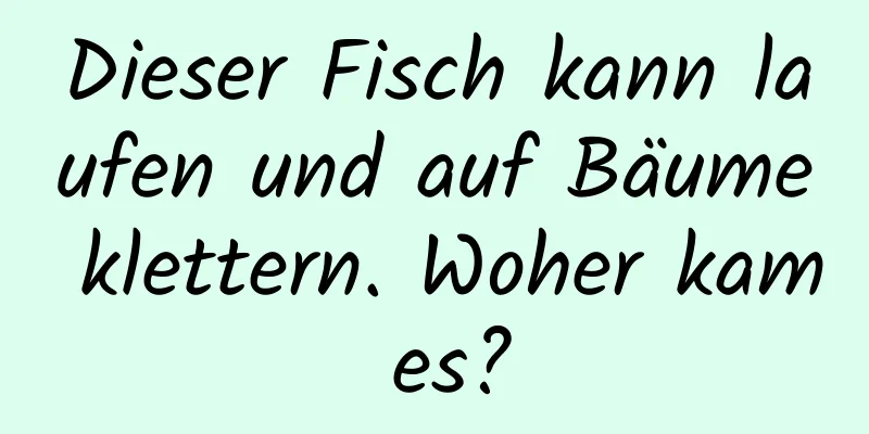 Dieser Fisch kann laufen und auf Bäume klettern. Woher kam es?