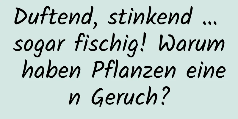 Duftend, stinkend … sogar fischig! Warum haben Pflanzen einen Geruch?