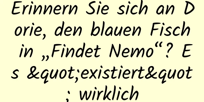 Erinnern Sie sich an Dorie, den blauen Fisch in „Findet Nemo“? Es "existiert" wirklich