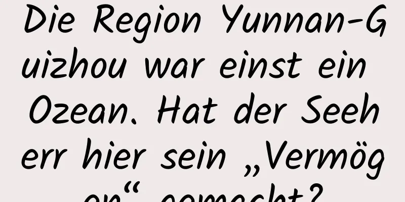 Die Region Yunnan-Guizhou war einst ein Ozean. Hat der Seeherr hier sein „Vermögen“ gemacht?