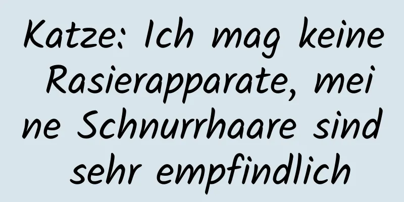 Katze: Ich mag keine Rasierapparate, meine Schnurrhaare sind sehr empfindlich