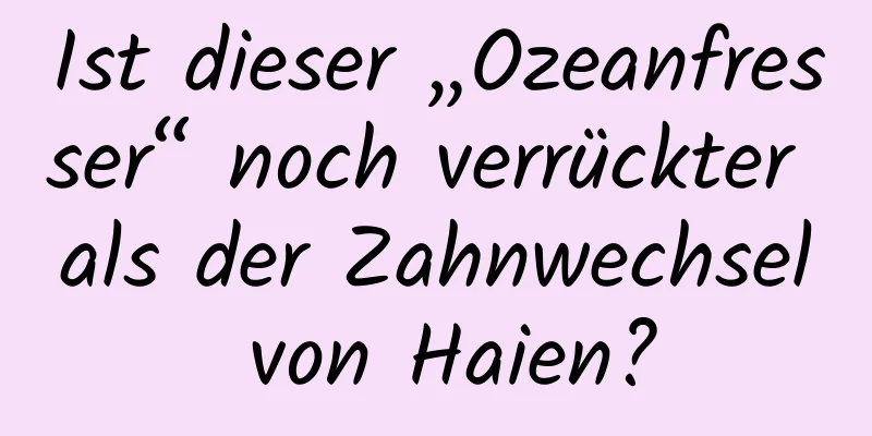 Ist dieser „Ozeanfresser“ noch verrückter als der Zahnwechsel von Haien?