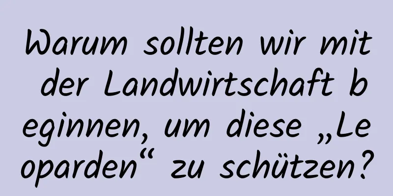 Warum sollten wir mit der Landwirtschaft beginnen, um diese „Leoparden“ zu schützen?