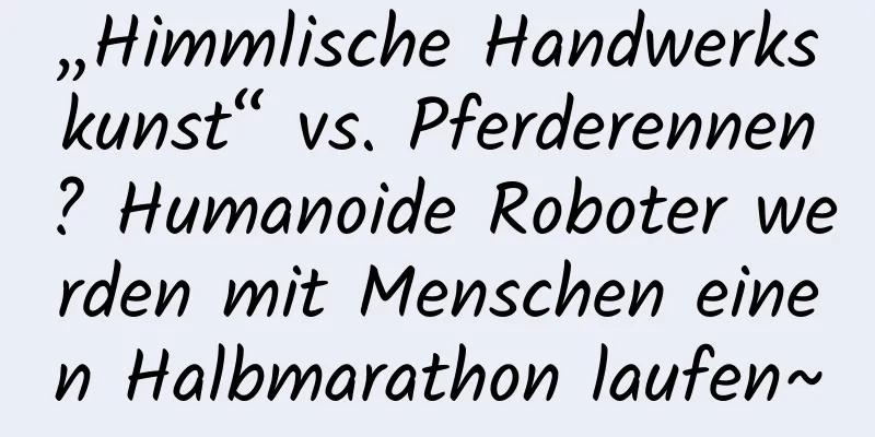 „Himmlische Handwerkskunst“ vs. Pferderennen? Humanoide Roboter werden mit Menschen einen Halbmarathon laufen~