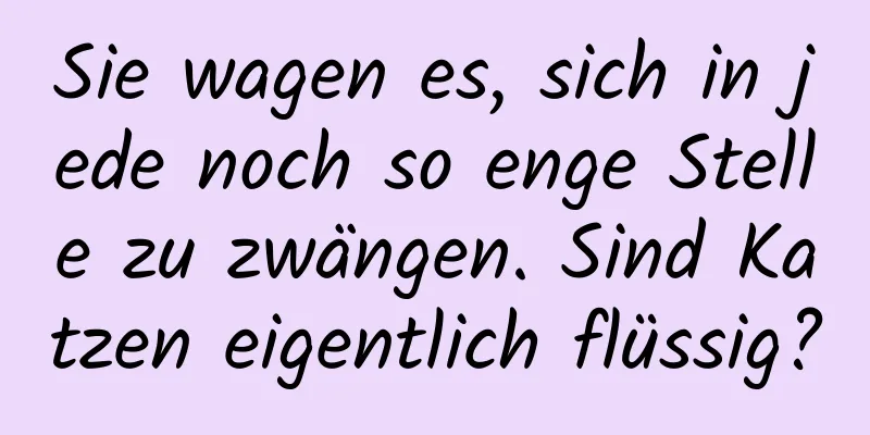 Sie wagen es, sich in jede noch so enge Stelle zu zwängen. Sind Katzen eigentlich flüssig?