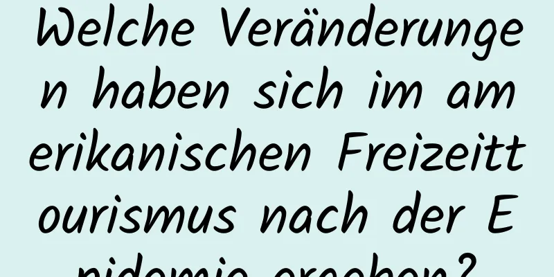 Welche Veränderungen haben sich im amerikanischen Freizeittourismus nach der Epidemie ergeben?